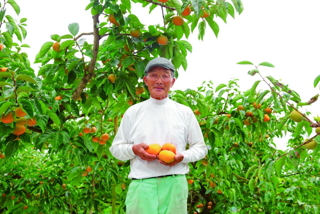 10月の旬食材 秋を代表する果実 柿 京料理 美濃吉