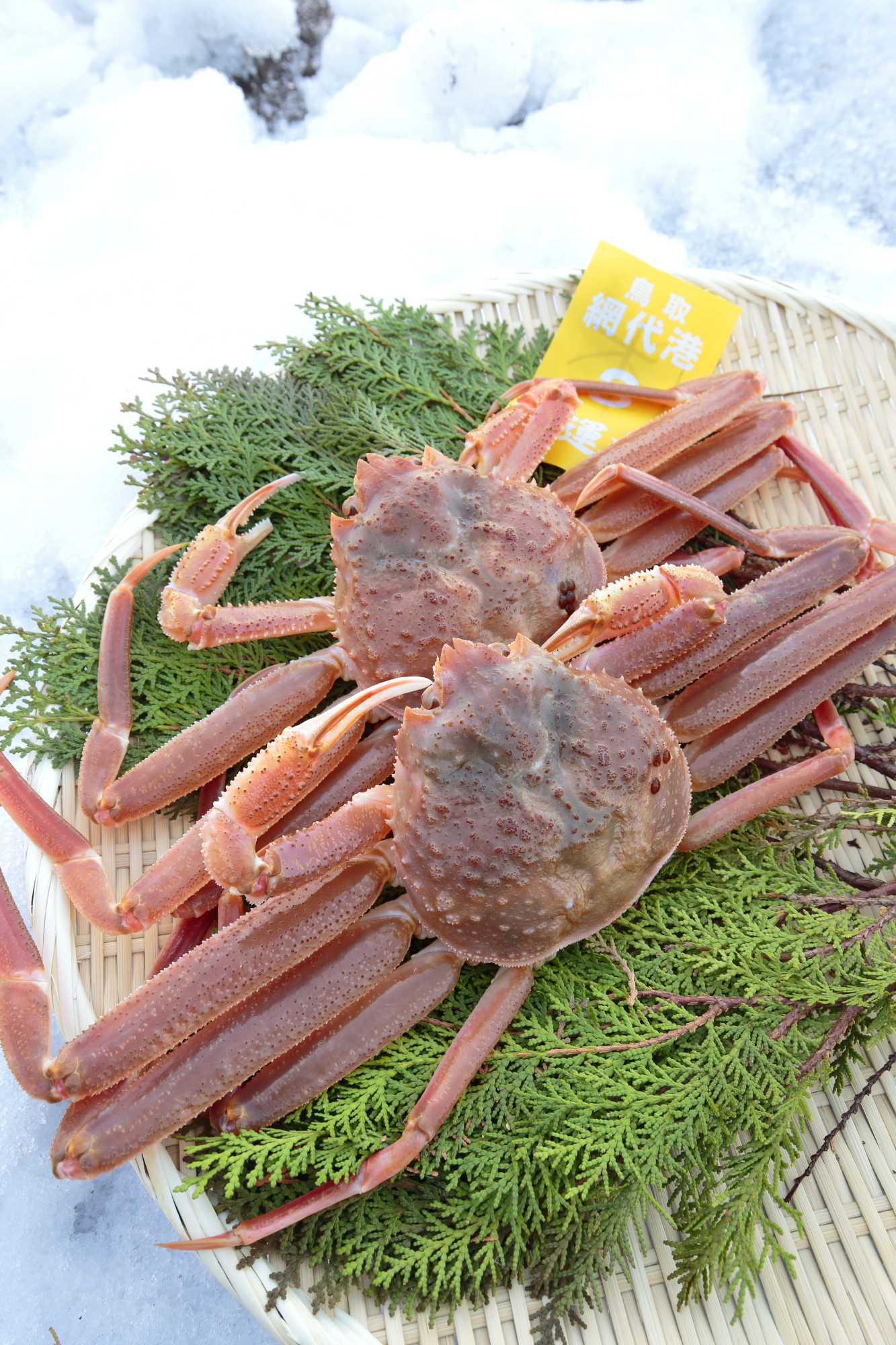 2月の旬食材鳥取県産 若松葉蟹 京料理 美濃吉