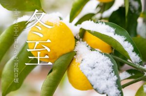 二十四節気・冬至を象徴する柚子に雪が積もった情景のメインビジュアル。冬至の頃の自然と季節感を表現したイメージ