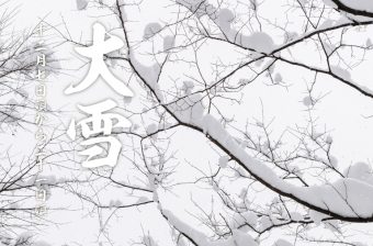 二十四節気・大雪をイメージしたメインビジュアル。雪をまとった木の枝が広がる冬の景色を背景にした季節記事用イメージ
