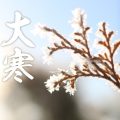 二十四節気の一つ『大寒』。一年で最も寒さが厳しい時期を表す紹介ページのメインビジュアル