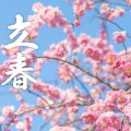 二十四節気「立春」 梅の花が咲き春の訪れを告げる季節の風景